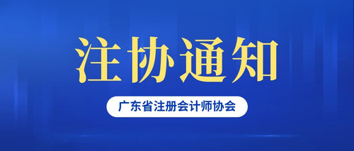 广东省注册会计师协会.jpg