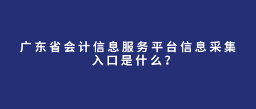 广东省会计信息服务平台信息采集入口是什么？ (1).png